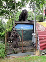 The Mystery Hole, Ansted, West Virginia