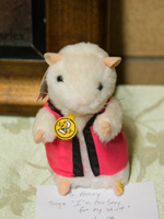 Mr. Henry, a.k.a. Sexy Rex hamster singing "I'm too sexy"