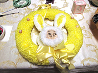 Fluffy Bunny Wonders