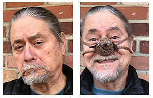 Aunt Marty's Nose Warmers
